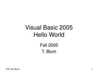 Visual Basic 2005 Hello World