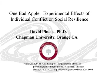 David Pincus, Ph.D.