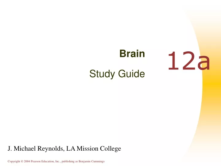 brain study guide