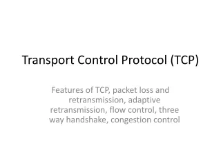 Transport Control Protocol (TCP)