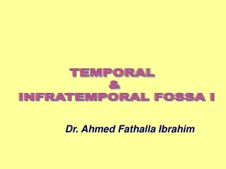 TEMPORAL  &amp;  INFRATEMPORAL FOSSA I