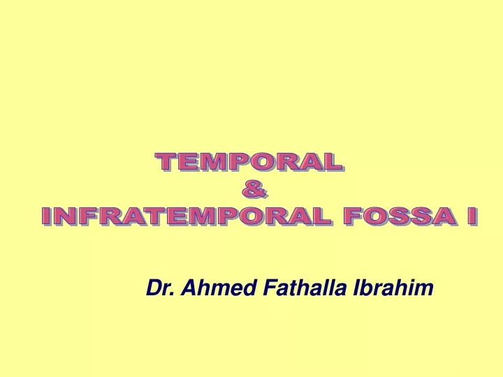temporal infratemporal fossa i