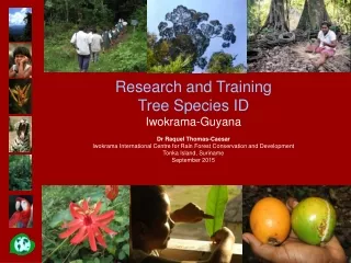 Research and Training Tree Species ID Iwokrama-Guyana Dr Raquel Thomas-Caesar