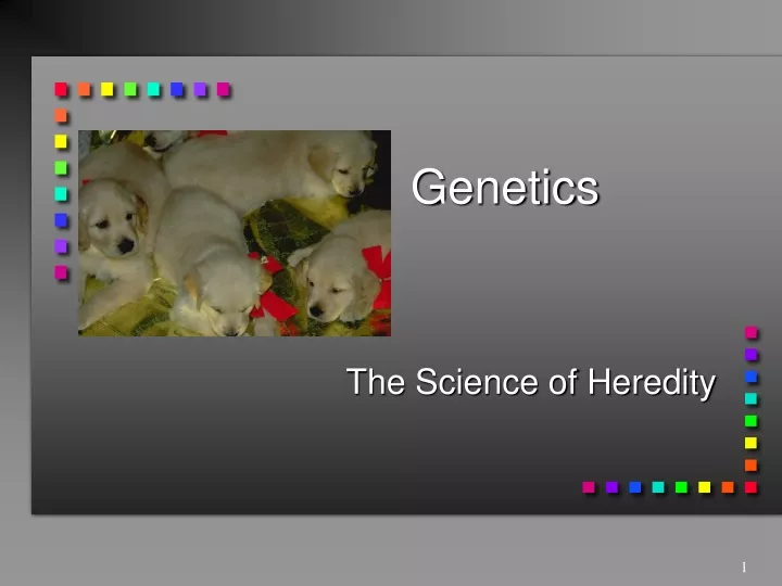 genetics