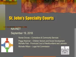 St. John’s Specialty Courts