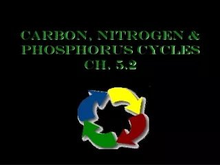 Carbon, Nitrogen &amp; Phosphorus Cycles Ch. 5.2
