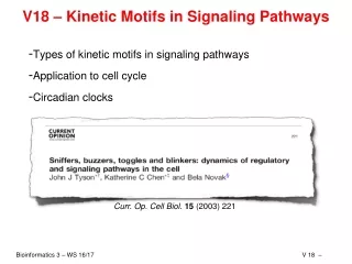 V18 – Kinetic Motifs in Signaling Pathways