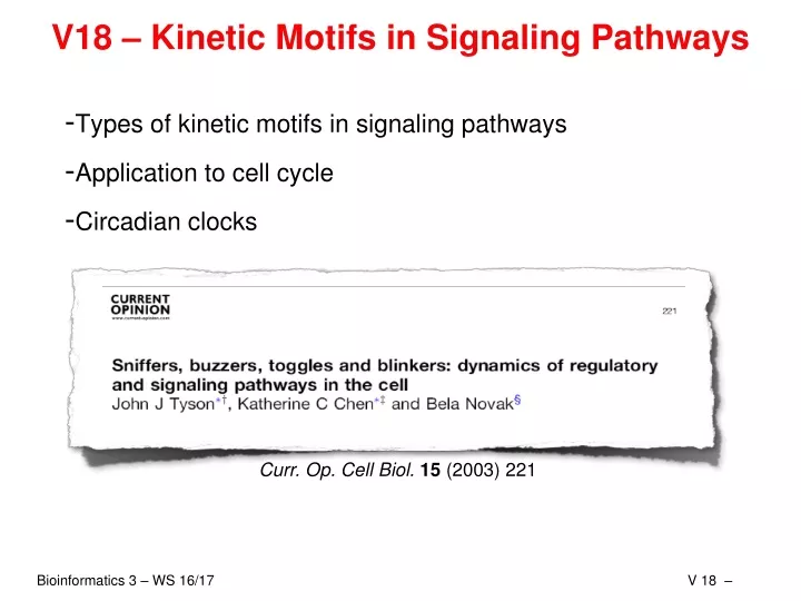 v18 kinetic motifs in signaling pathways