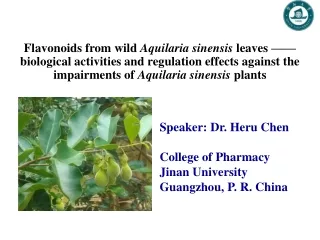 Flavonoids from wild  Aquilaria sinensis  leaves ——