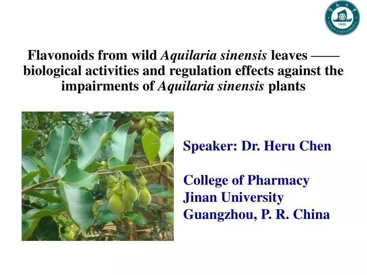 flavonoids from wild aquilaria sinensis leaves