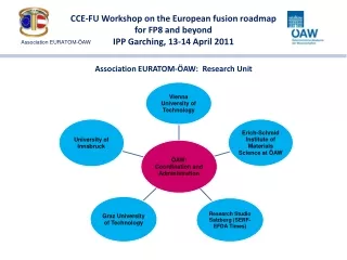 CCE-FU Workshop on the European fusion roadmap for FP8 and beyond IPP Garching, 13-14 April 2011