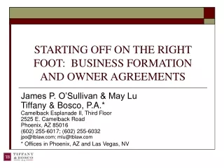 STARTING OFF ON THE RIGHT FOOT:  BUSINESS FORMATION AND OWNER AGREEMENTS
