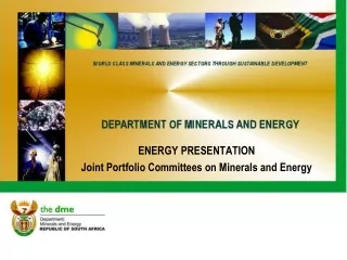 ENERGY PRESENTATION Joint Portfolio Committees on Minerals and Energy