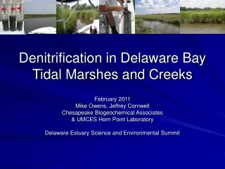 Denitrification in Delaware Bay Tidal Marshes and Creeks