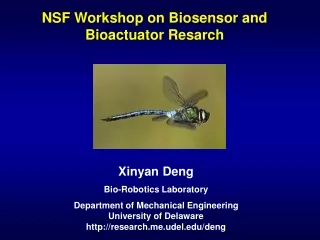 nsf workshop on biosensor and bioactuator resarch