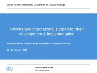 NAMAs and international support for their development &amp; implementation