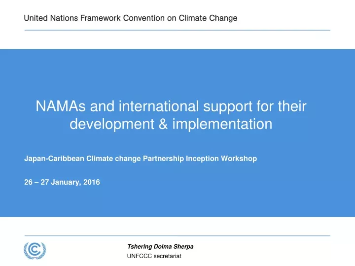 namas and international support for their development implementation