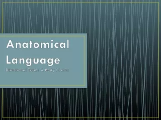 Anatomical Language Directional Terms &amp; Body Planes