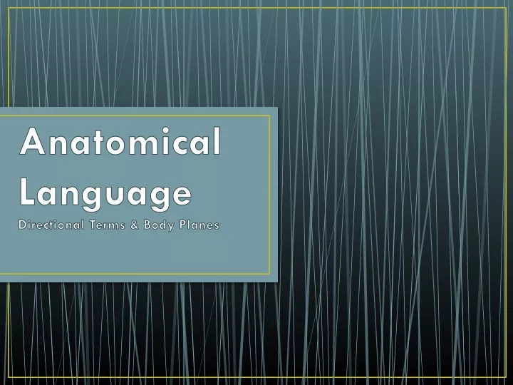 anatomical language directional terms body planes