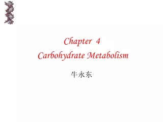 Chapter  4   Carbohydrate Metabolism