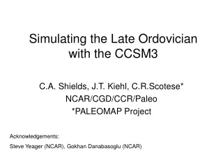 Simulating the Late Ordovician with the CCSM3