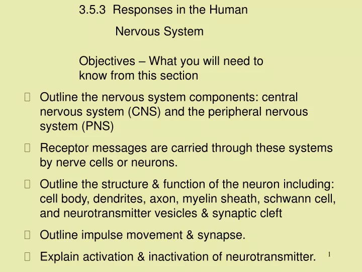 3 5 3 responses in the human nervous system