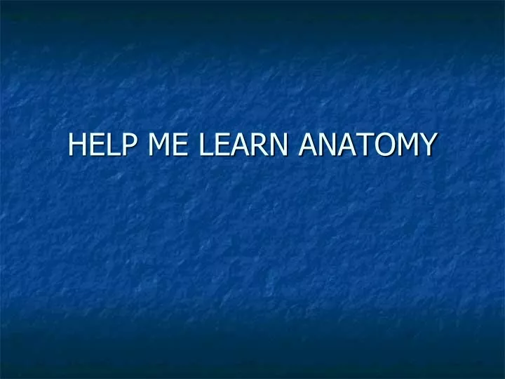 help me learn anatomy