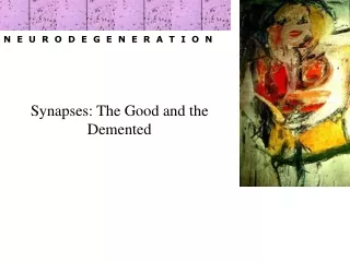 Synapses: The Good and the Demented