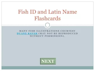 Fish ID and Latin Name Flashcards