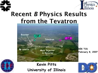 Recent  B  Physics Results  from the Tevatron