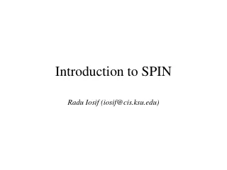 Introduction to SPIN