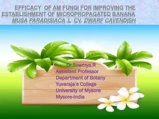 Dr.Sowmya.R Assistant Professor Department of Botany Yuvaraja’s College University of Mysore