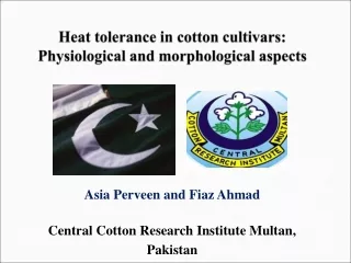Heat tolerance in cotton cultivars: Physiological and morphological aspects