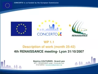 WP 1.1 Description of work (month 25-42) 4th RENAISSANCE meeting- Lyon 31/10/2007