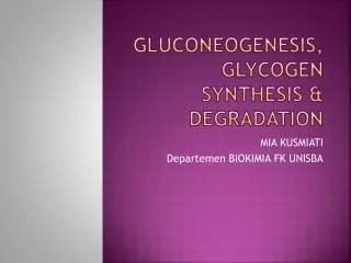 GLUCONEOGENESIS, GLYCOGEN SYNTHESIS &amp; DEGRADATION