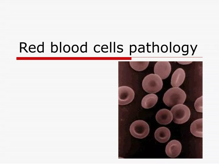 red blood cells pathology