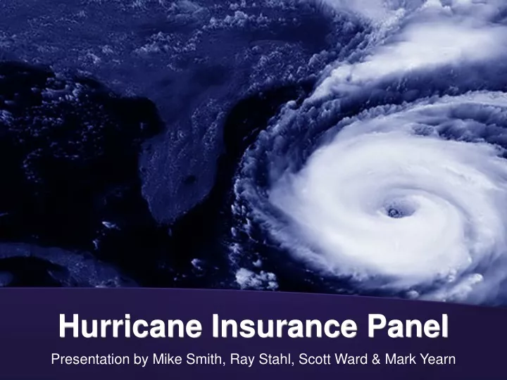 hurricane insurance panel