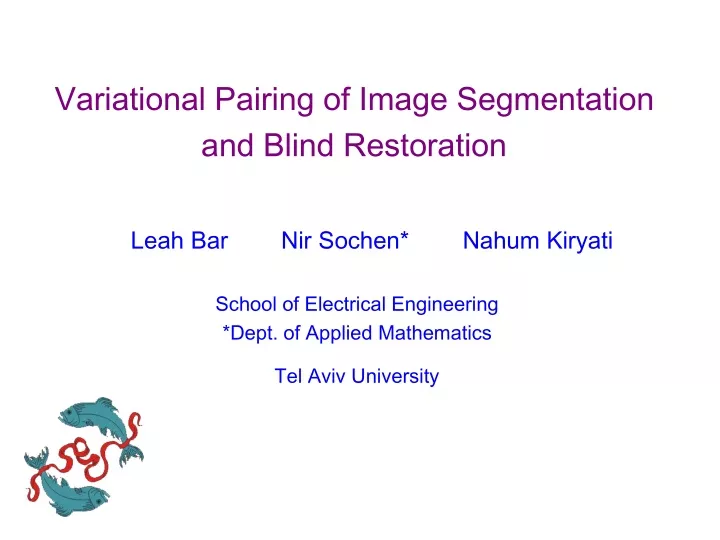 variational pairing of image segmentation