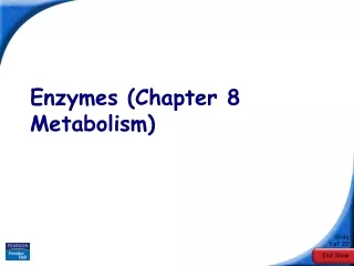 Enzymes (Chapter 8 Metabolism)