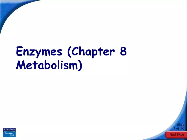 enzymes chapter 8 metabolism