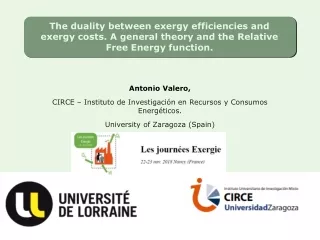 Antonio Valero,  CIRCE – Instituto de Investigación en Recursos y Consumos Energéticos.