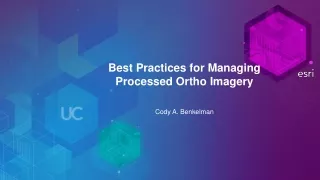 Best Practices for Managing  Processed Ortho Imagery