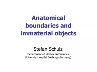 Anatomical boundaries and immaterial objects