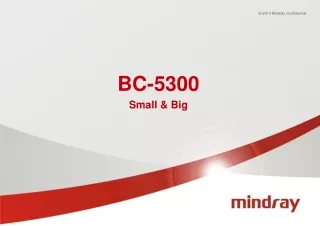 BC-5300  Small &amp; Big