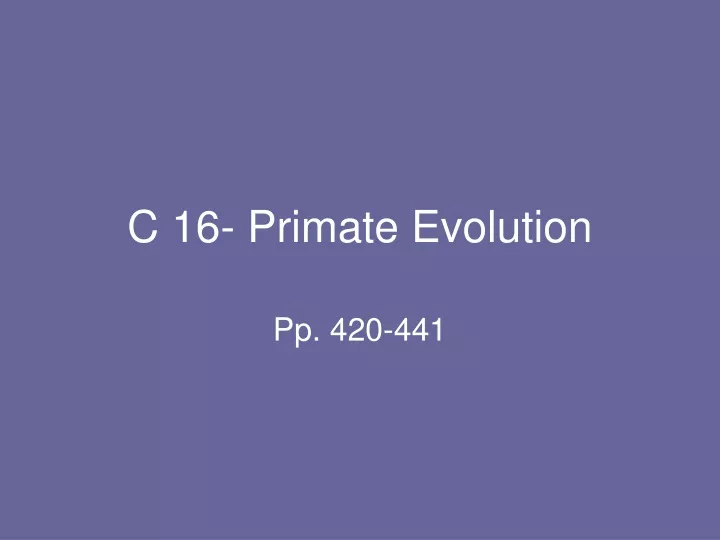 c 16 primate evolution