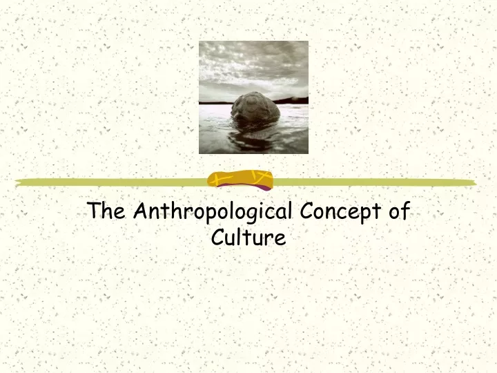 the anthropological concept of culture