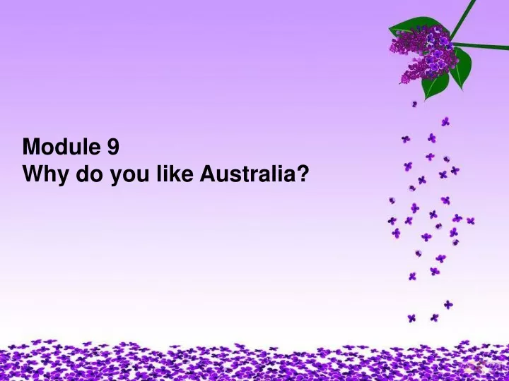 module 9 why do you like australia