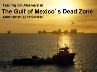 The Gulf of Mexico ’ s Dead Zone