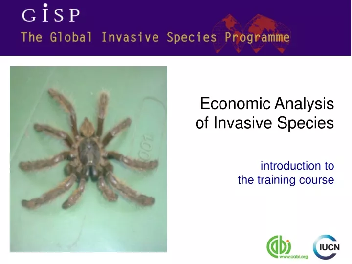 economic analysis of invasive species