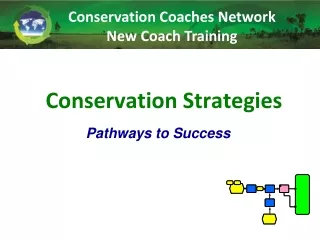 Conservation Strategies